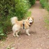 ALVIN sucht Zuhause