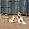 Wunderschöne Kiki sucht Familie 😍