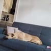 Lea ist eine Schönheit 🐾