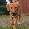 HSH-Mix-Lady♥Suvi♥63911 Klingenberg/Main