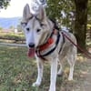 JILKA