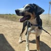 CARLOS (Maria)