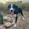CARLOS (Maria)