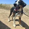CARLOS (Maria)