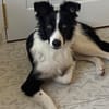MAX (Martina)