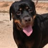 PEDRO (Maria)