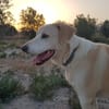 ROCO (Martina)