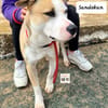 SANDOKAN (Maria)