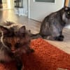 Agnes eine bestechende Persönlichkeit