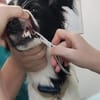 KATIE * hat Lust auf Leben