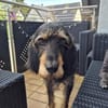Blaster hat etwas Glück verdient