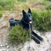 Karl - der kinderliebe