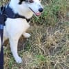 Maia; sucht Ruhe und Sicherheit