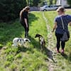 Maia; sucht Ruhe und Sicherheit