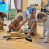 Welpe Archi sucht festes Zuhause