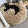 BAGHEERA