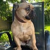 Hattie - ein kleines Powerpaket