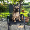 Hattie - ein kleines Powerpaket
