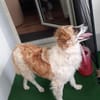 Vicky sucht ein neues Zuhause