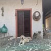 NOTFALL Horst muss Zuhause verlassen