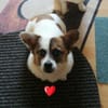 SUZY auf der Suche nach ihrem Glücksort