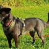 AMY DARF NICHT DURCHS RASTER FALLEN