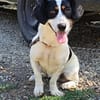 Liebenswerte Peggy wartet