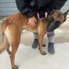 Negro sucht seinen Platz für's Leben