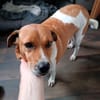 Kanela - Kuschelmaus - VORGEMERKT