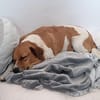 Kanela - Kuschelmaus - VORGEMERKT