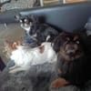 🌸Luna 7 J und Bella 9 Jahre🌸Gemeinsa