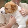 Kimo 💙💙💙 Happy-Home gesucht