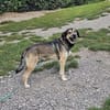 Bobbi sucht sein Glück!
