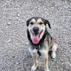Bobbi sucht sein Glück!
