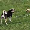 Cherie wartet schon auf dich