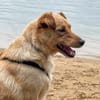 Zack sucht eigene liebe Familie