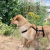 Zack sucht eigene liebe Familie