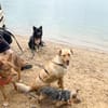 Zack sucht eigene liebe Familie