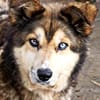 Lexy sucht liebevollen Anschluss