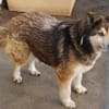 Lexy sucht liebevollen Anschluss