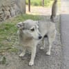 Herzensbrecherin MILLI