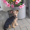 Bobby