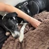 Wunderbare♥Wilma♥wartet in 04157 Leipzig