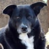 Berry hat eine neue Chance verdient