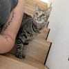 Miley - kleines Mädchen, großes Herz