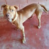 PAA22964 ZACK
