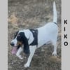 Kiko