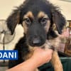 DANI (Maria)