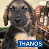 THANOS (Maria)
