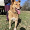 Verschmuster Wirbelwind Tobi